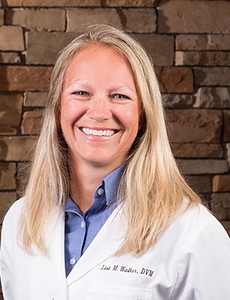 Newport Animal Hospital - Dr. Lisa Walker - Rhode Island Veterinarian